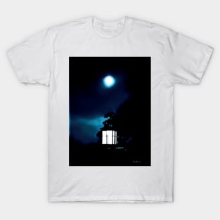 Night Lights - Graphic 1 T-Shirt